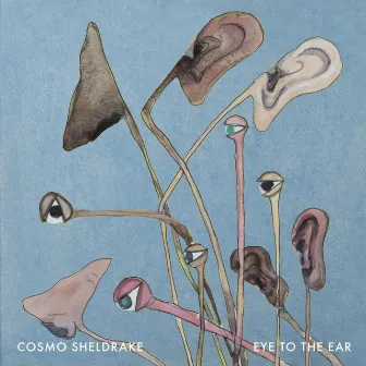 Eye To The Ear by Cosmo Sheldrake