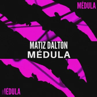 Médula by Matiz Dalton