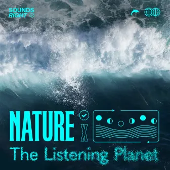 Seascape Symphony by The Listening Planet