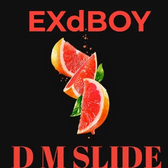 D M Slide by EXdBOY