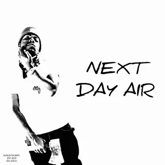 Next Day Air by Marley Wolf