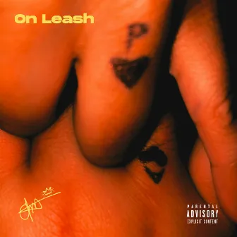 On Leash by Unknown Artist