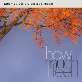 How Much I Feel by Banda Do Sul