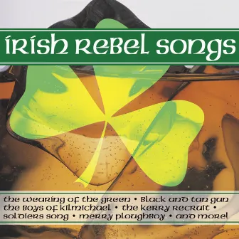 Irish Rebel Songs by Irish Rebel Songs