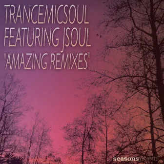 Amazing 'Remixes' by Trancemicsoul