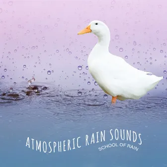 Atmospheric Rain Sounds by Unknown Artist