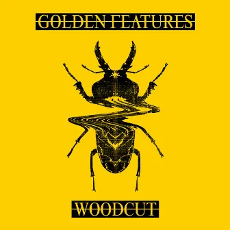 Woodcut (feat. Rromarin) [Remixes] by Golden Features