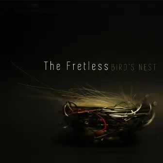 Bird's Nest by The Fretless