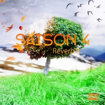 Saison 4 by Reverb'r