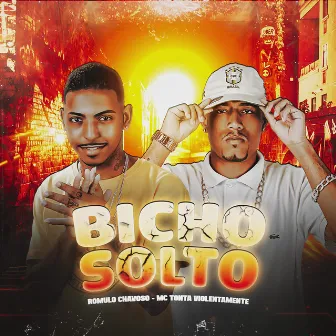 Bicho Solto by Mc Tonta Violentamente