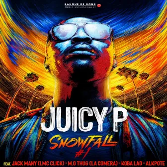 Snowfall #1 by Juicy P