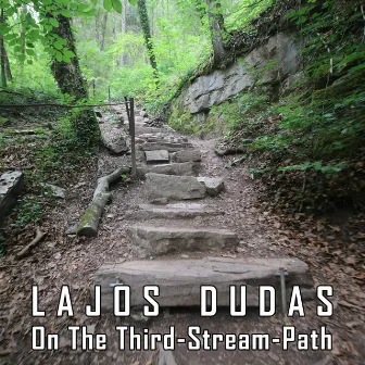 On the Third Stream Path by Lajos Dudas