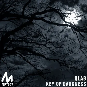 Key of Darkness by Q-Lab