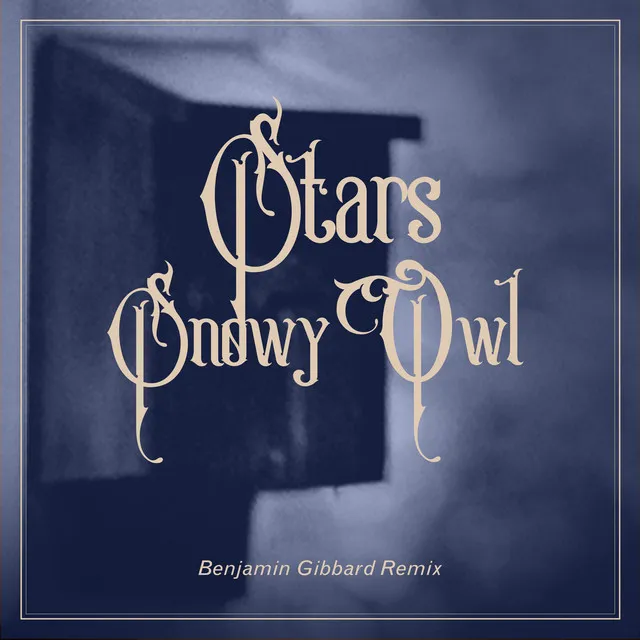 Snowy Owl (Benjamin Gibbard Remix)