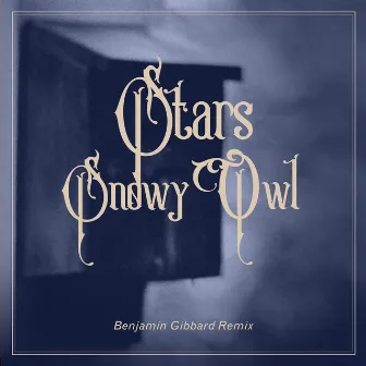 Snowy Owl (Benjamin Gibbard Remix) by Benjamin Gibbard