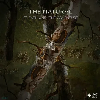 The Adventure / Les Papillons by The Natural