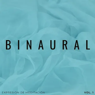 Binaural: Expresión De Meditación Vol. 1 by Meditación Relajante Mindfulness Relajación Maestro