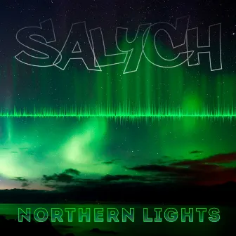 Northern Lights by Salych