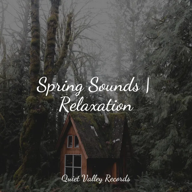 Spring Sounds | Relaxation