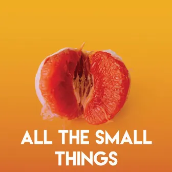 All the Small Things by Wild Tales