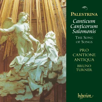 Palestrina: Canticum Canticorum Salomonis – The Song of Songs by Bruno Turner