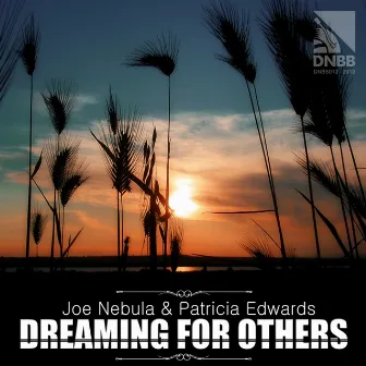 Dreaming For Others by Joe Nebula