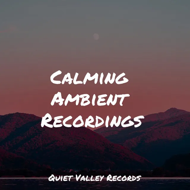 Ambient Sounds