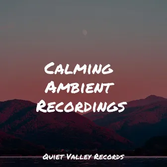 Calming Ambient Recordings by Soothing White Noise for Infant Sleeping and Massage