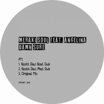 Damn Sure PT1 by Meraki Soul