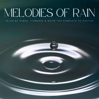 Melodies Of Rain: Relaxing Winds, Thunders & Rains For Complete Relaxation by Cosy Music Deluxe