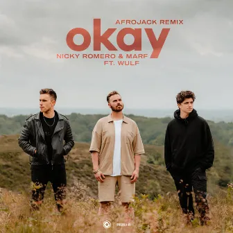 Okay (Afrojack Remix) by MARF