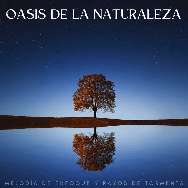 Reflexiones De Calma Del Oasis Ambiental