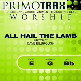 All Hail the Lamb (Worship Primotrax) [Performance Tracks] - EP by Andy Green