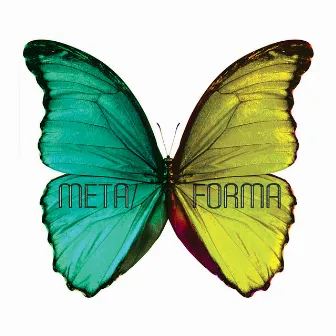 Metaforma by Shannon Curtis