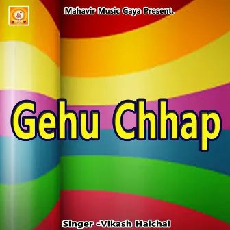 Gehu Chhap by Vikash Halchal