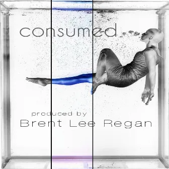 Consumed (Instrumental) by Brent Lee Regan