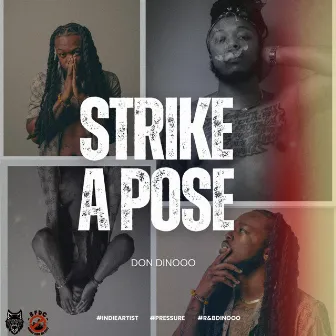 Strike A Pose by Don Dinooo