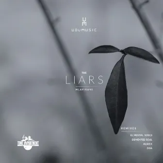 The Liars by Udumusic