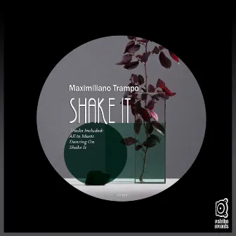 Shake It by Maximiliano Trampo