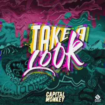 Take A Look by Capital Monkey