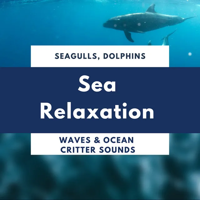 Sea Relaxation - Seagulls, Dolphins, Waves & Ocean Critter Sounds