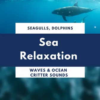 Sea Relaxation - Seagulls, Dolphins, Waves & Ocean Critter Sounds by Healing Markrain