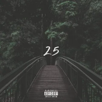 25 by Koab