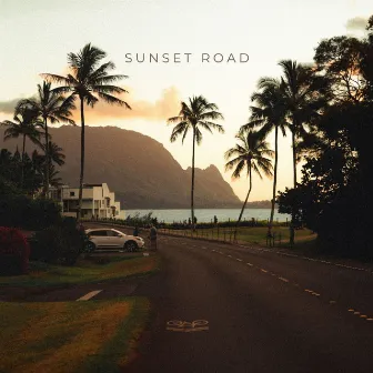 Sunset Road by Plant Guy