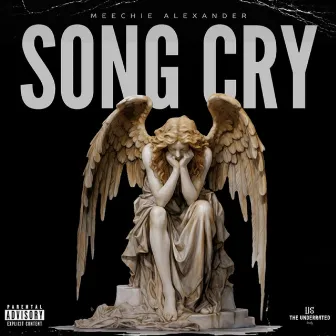 Song Cry by Meechie Alexander