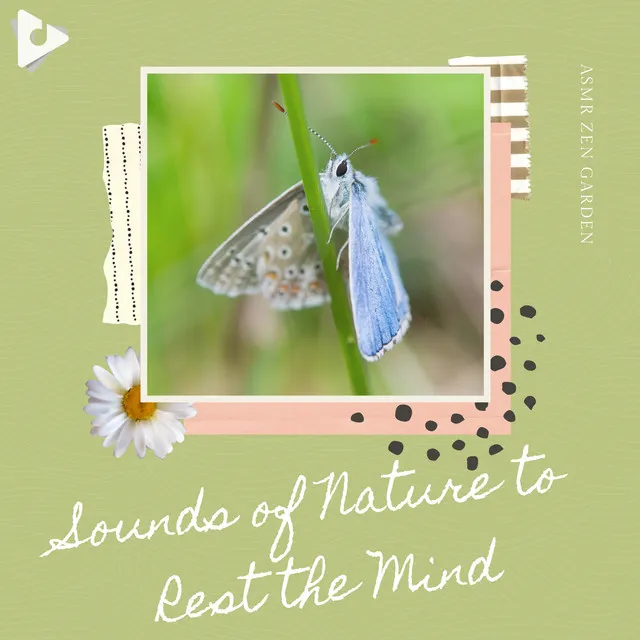 Sounds of Nature to Rest the Mind