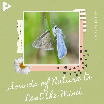 Sounds of Nature to Rest the Mind by ASMR Zen Garden