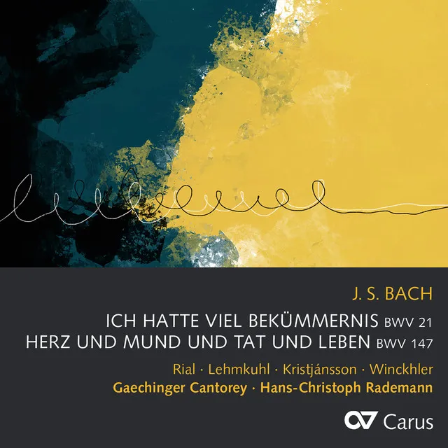 Ich hatte viel Bekümmernis, Cantata BWV 21 / Pt. 2: 10. "Erfreue dich, Seele"