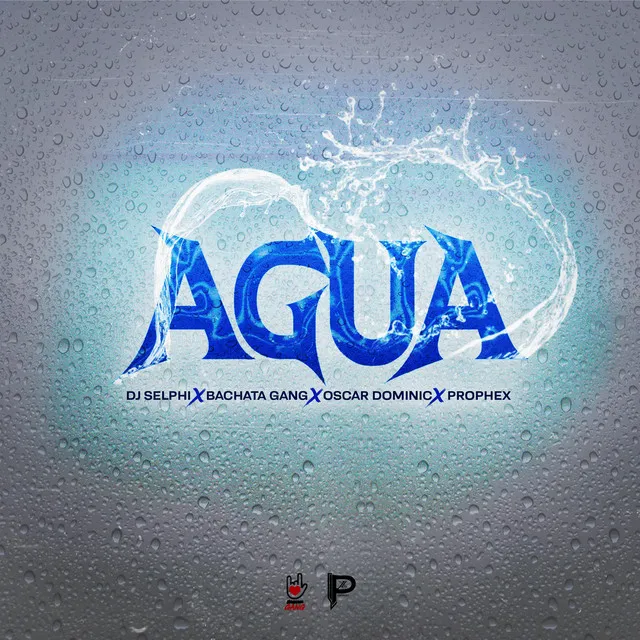 AGUA - Bachata Version