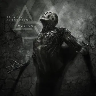 Malice by Altered Perceptions